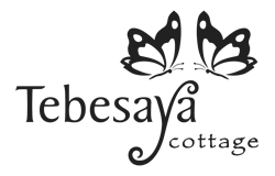 logo-tebesaya